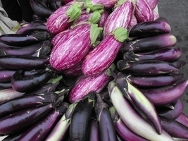 Downtown Certified Farmers Market photos