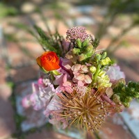 Clark's Nutrition & Natural Foods Market photos