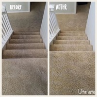 Ultimate Carpet Care & Cleaning photos
