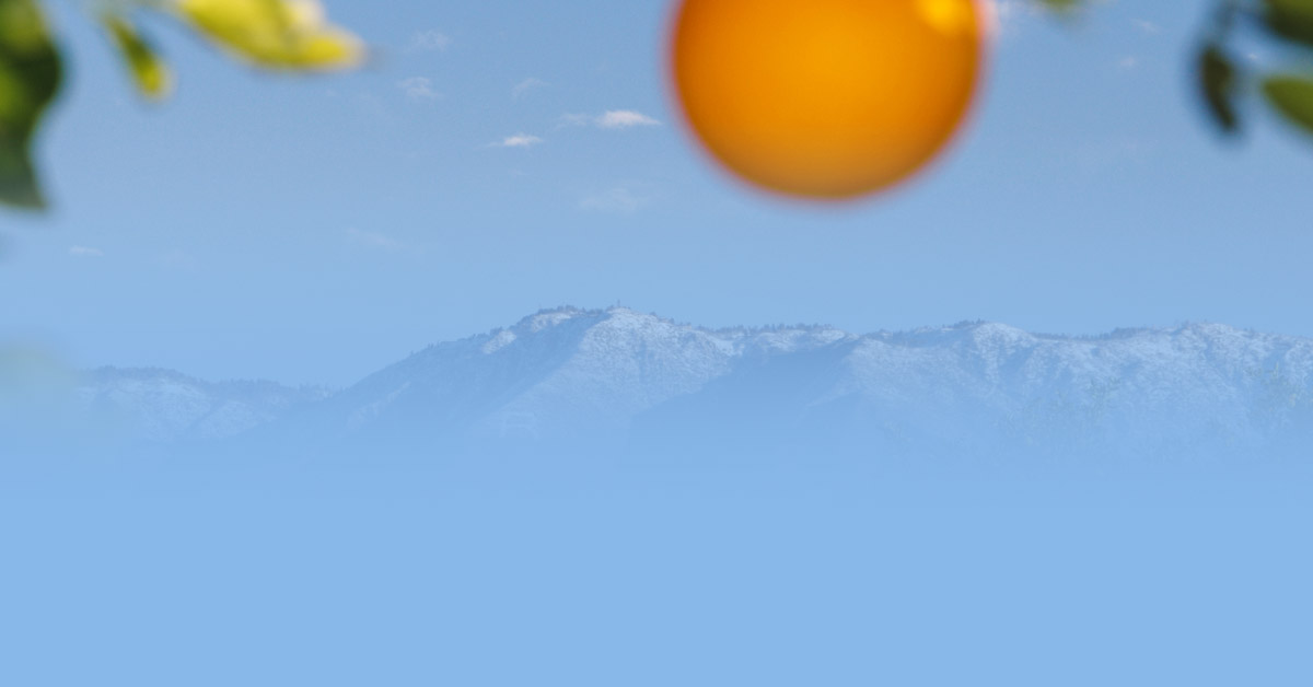 Default-article-image