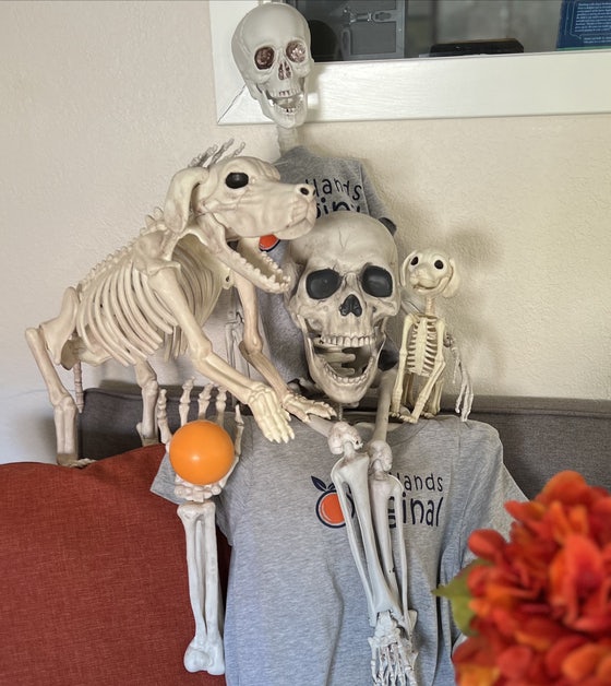 An Image of this Event